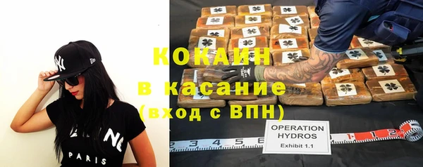 трава Гусиноозёрск