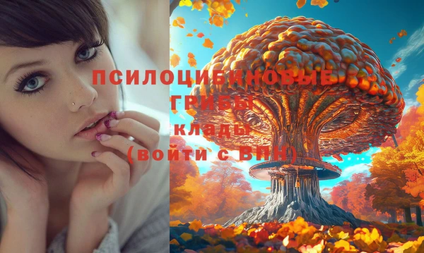 трава Гусиноозёрск