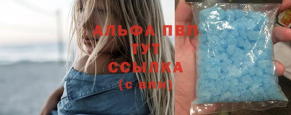 apvp Гусев