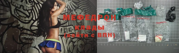 ECSTASY Гусь-Хрустальный