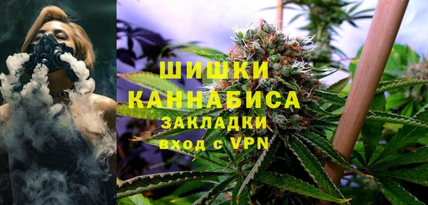apvp Гусев