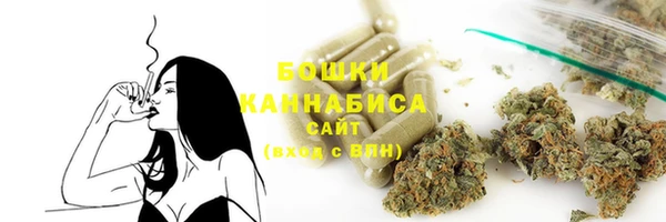трава Гусиноозёрск