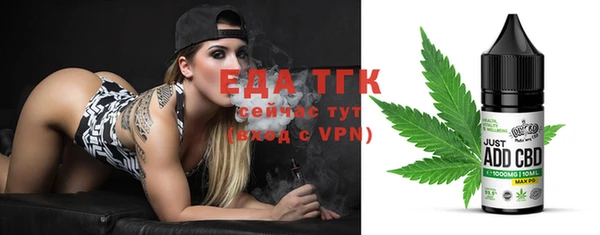ECSTASY Гусь-Хрустальный