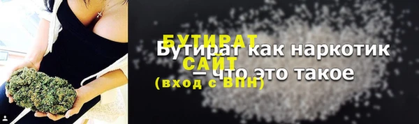 apvp Гусев