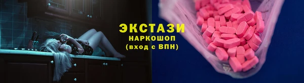 apvp Гусев
