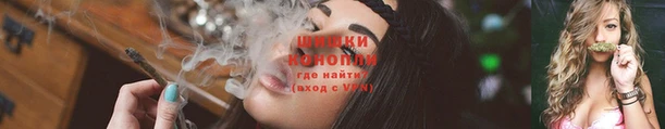 apvp Гусев