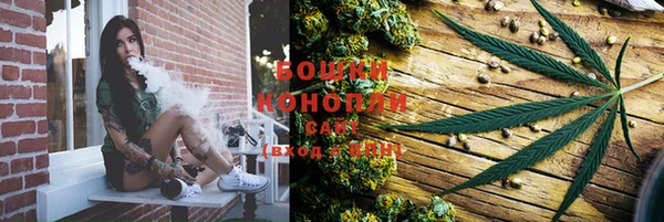 трава Гусиноозёрск