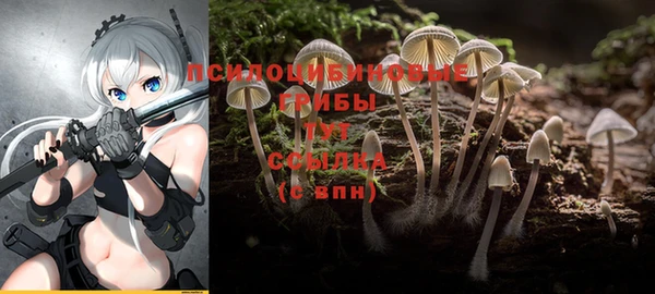 трава Гусиноозёрск