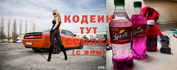 apvp Гусев