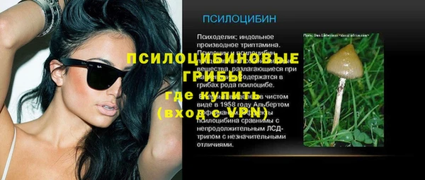 ECSTASY Гусь-Хрустальный