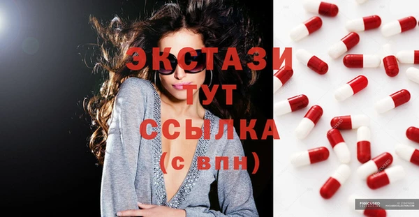 ECSTASY Гусь-Хрустальный