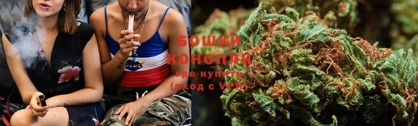ECSTASY Гусь-Хрустальный
