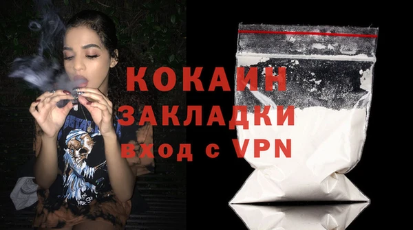 ECSTASY Гусь-Хрустальный