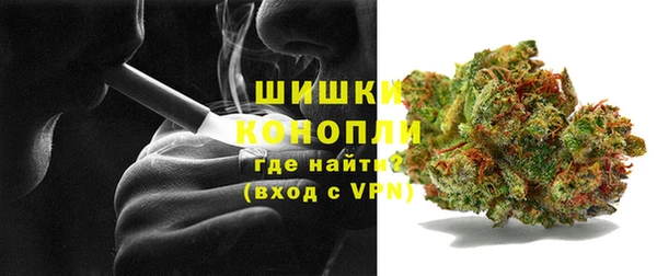 ECSTASY Гусь-Хрустальный