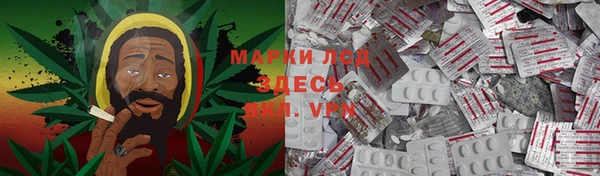 apvp Гусев