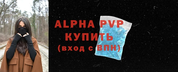 apvp Гусев